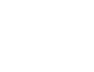 zeigt das BSVSH Logo in Form eines Auges