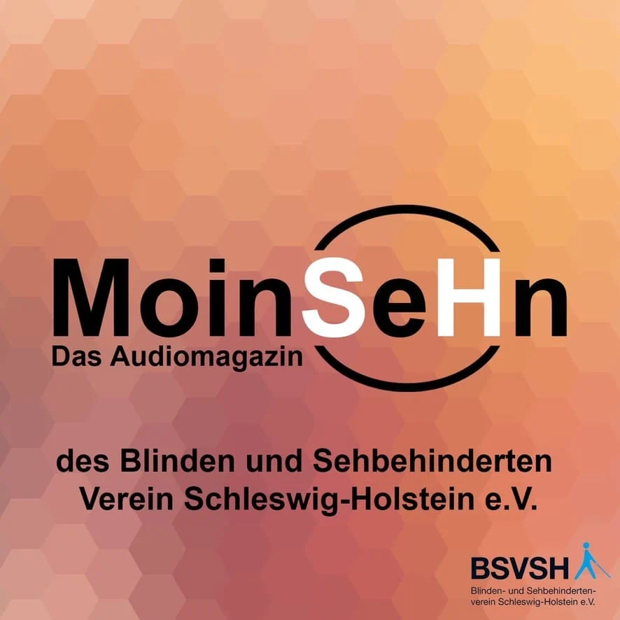 MoinSeHN Logo auf orangenem, abstrakten Hintergrund