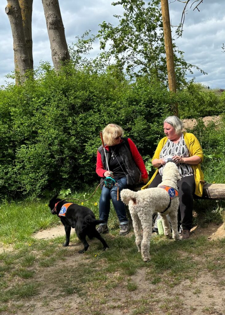 Pause beim Spaziergang mit Blindenführhunden
